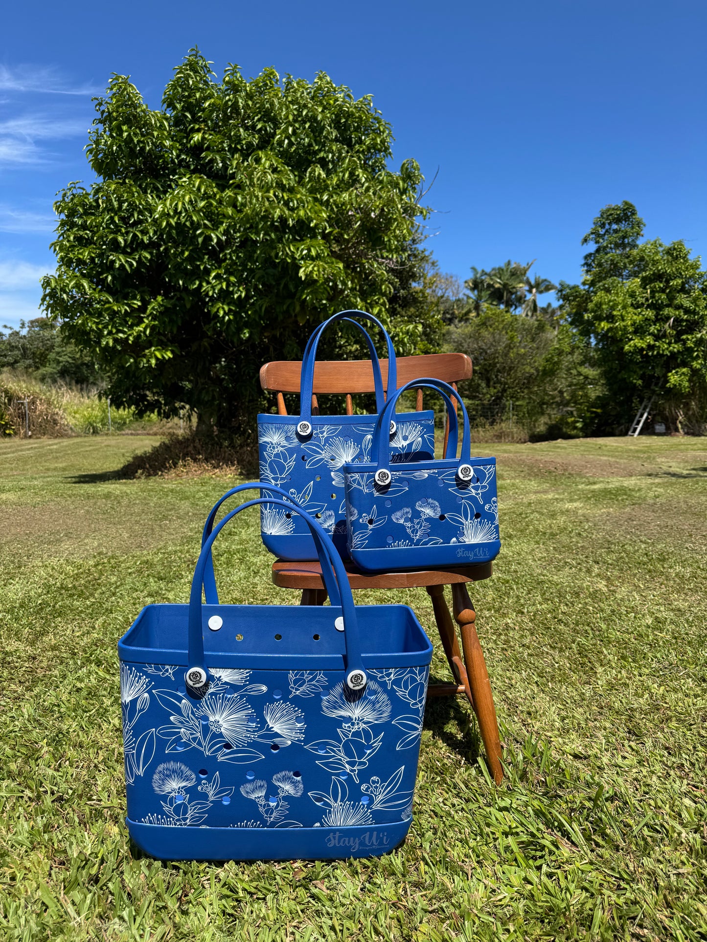 ʻEke Holoholo - Lehua (Small)