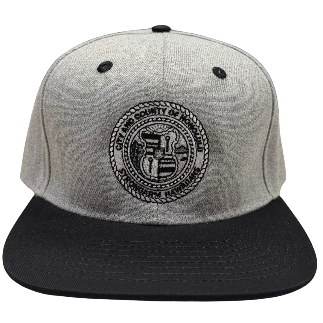 City & County Gray/Black - Snapback
