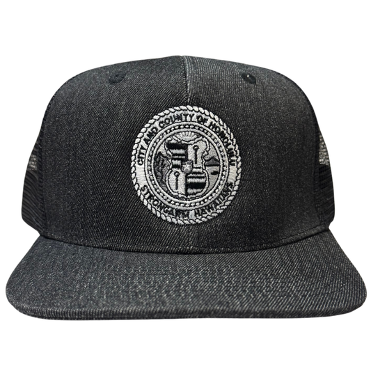 City & County Dark Denim - Snapback