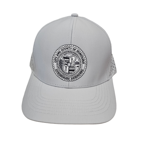 Silver- City and County Snapback